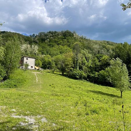 Contea Del Piano Villa Piteglio ภายนอก รูปภาพ