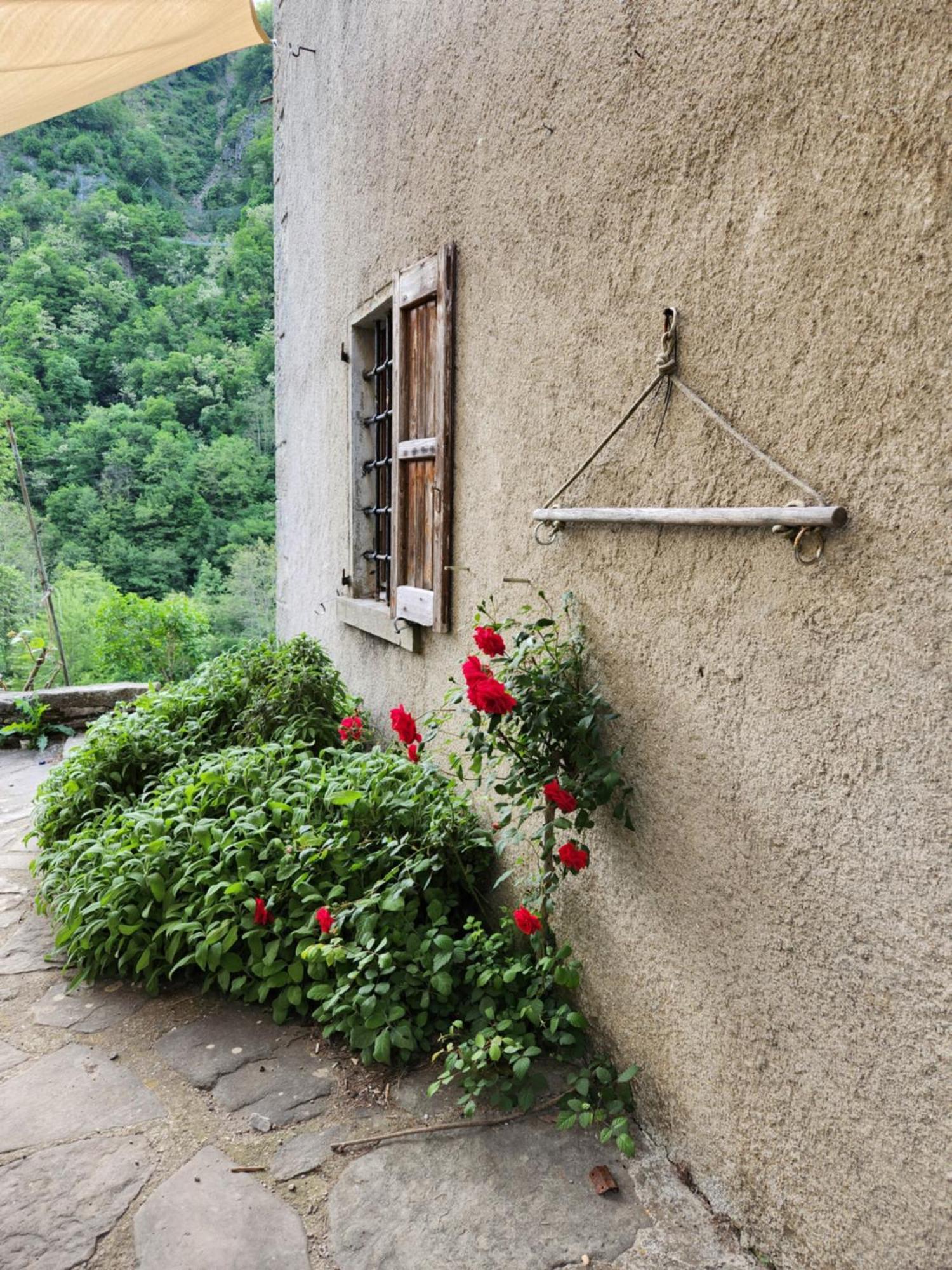 Contea Del Piano Villa Piteglio ภายนอก รูปภาพ